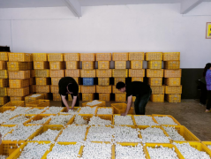 <b>【答卷十四五·央企惠平易近生】从赋能到共生：</b>